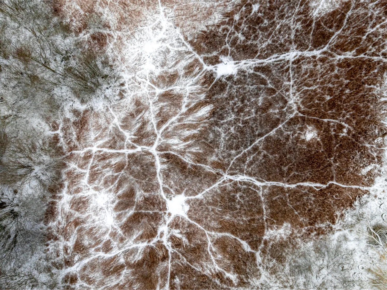 aerial view of small river